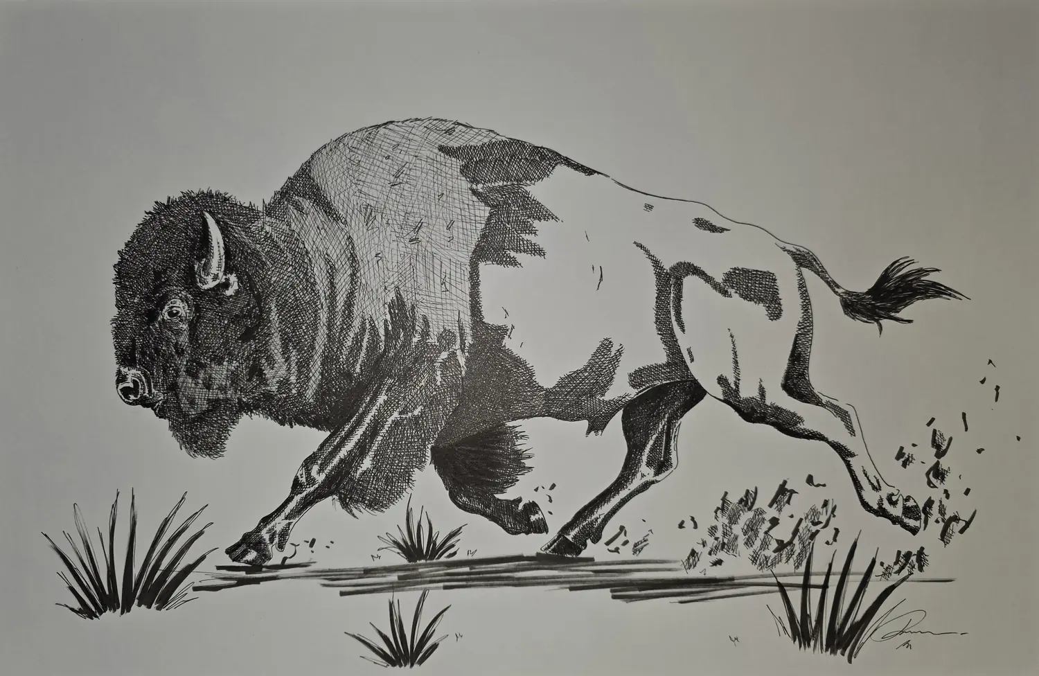 The Run